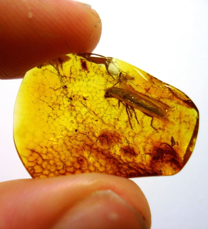pierre d'ambre naturel