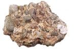 rocha conglomerada sedimentar clástica
