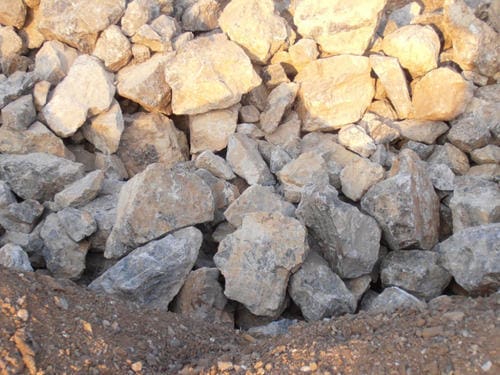 Roches phosphatées - roches sédimentaires organiques